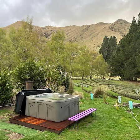 Willa Danseys Pass Lavender Farm Tokarahi Zewnętrze zdjęcie